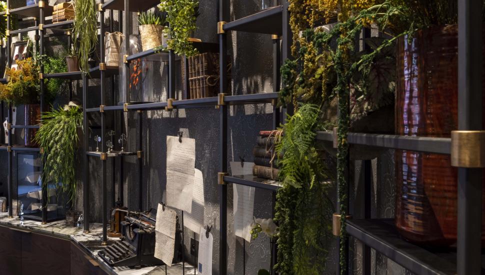 décoration de la bibliothèque